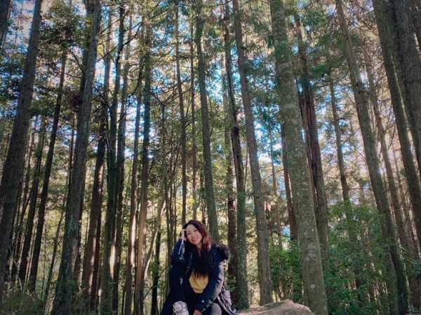 你是來吵架的？還是來解決問題的？